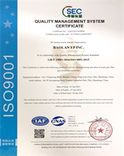 ISO 9001 Quality Management Sys